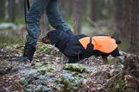 glacier jacket