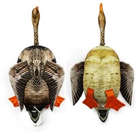 The Original Clone® - Dead Bird Dummy Grauwe Gans 1500 Gram-2