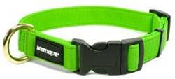 Halsband Verstelbaar 25mm Breed / Omtrek 30 - 40 cm Diverse kleuren