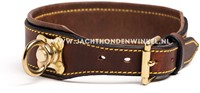 Zweethalsband / Schweisshalsung De Luxe - Maat 4 (37-42cm)