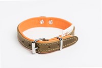 halsband_dtl_groen_small-01