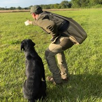 Dog & Field Dirigeer / Handling Card-2