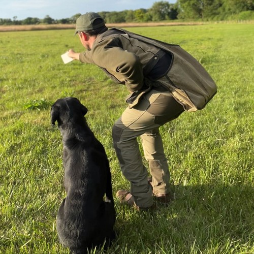 Dog & Field Dirigeer / Handling Card-2