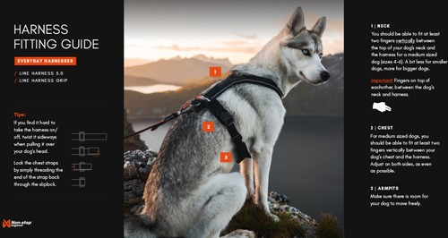 Non Stop Line Harness 5.0 Orange - Maat 5-2