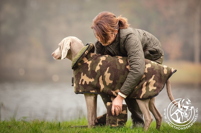 Heeft een hond een jas nodig? 