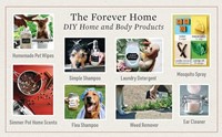 The Forever Dog Life-3