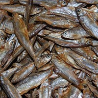 Gedroogde Visjes (Sprotten)  - 500 Gram-2