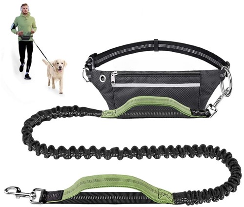 SALE: Hands Free Bungee leash olive