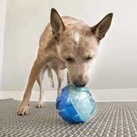 KONG® Reward Ball Large Treat dispencer-2