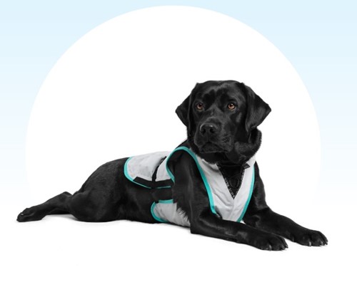 Dry Cooling Vest - Maat L