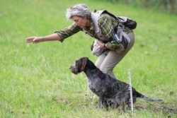 Lezing: "De Continentaal Staande Hond" Mei 2026 02-05-2026