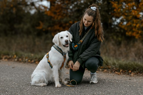Line harness 5.0 Rachel Pohl edition-2