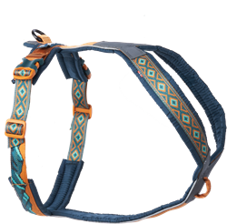 Line harness 5.0 Rachel Pohl edition TEAL 