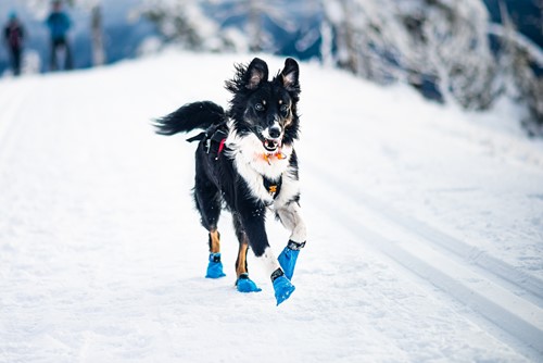 Long distance booties ( 4 Pack) Sneeuw & ijs bescherming-3