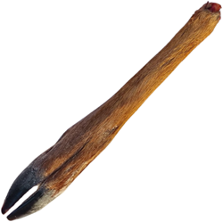 Loper Reewild (DIEPGEVROREN ALLEEN AFHALEN)