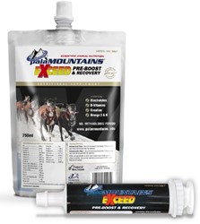 PalaMOUNTAINS Exceed Pre-Boost en Recovery 750 ML