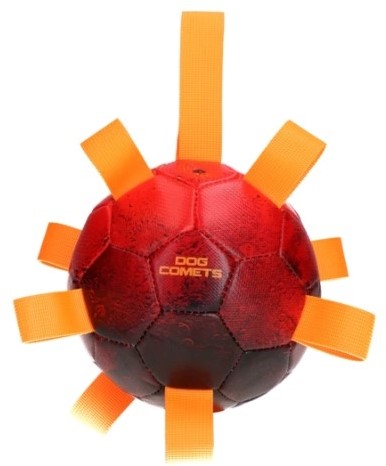 Dog Comets Voetbal Oranje