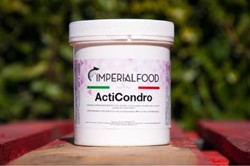 Acti Condro Ter bevordering van aanmaak en herstel van kraakbeen
