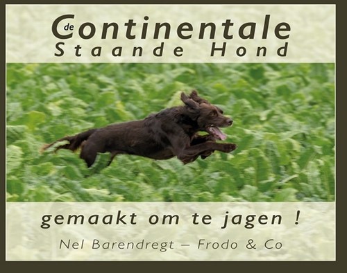 De Continentale Staande Hond: gemaakt om te jagen!