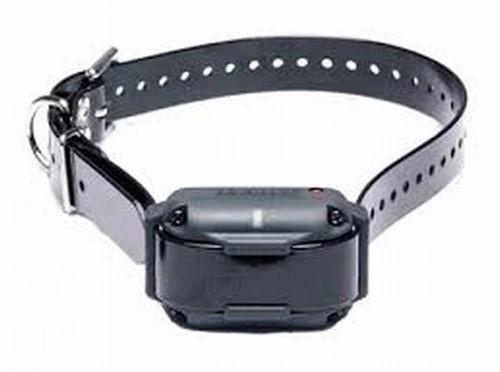 Dogtra Dummy Halsband