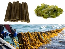 Kelp Superfood Sticks Zakje van 12 stuks
