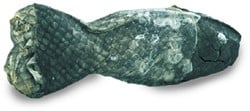 Icepaw Krill & Kabeljauw Kauwsnack