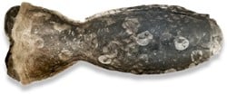 Icepaw Pure Zalm Kauwsnack