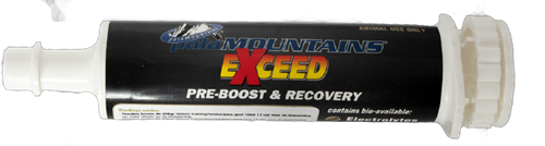 PalaMOUNTAINS Exceed Pre-Boost & Recovery 80 ML