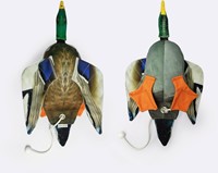 The Original Clone® - Dead Bird Dummy Eend 535 Gram-3