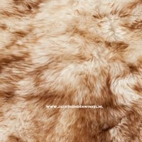 Mouflon gemeleerd detai