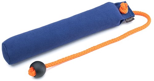Dummy School 300 Gram - Blauw