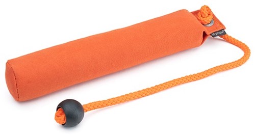 Dummy School 300 Gram - Oranje