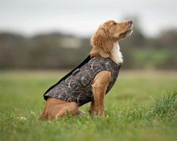 Sporting Saint - Neopreen honden vest 