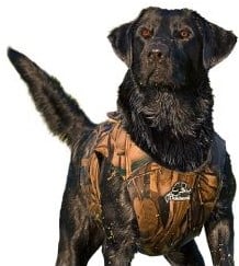 Dokkens Neopreen Xtreme Camouflage Wetsuit