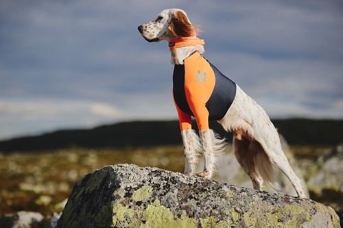 Non Stop Protector T-Shirt-3