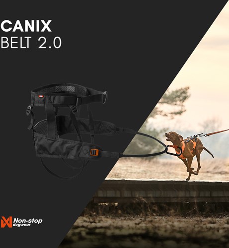 canix2.0 