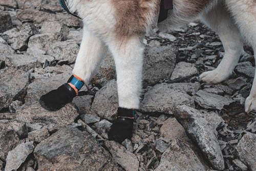 Non Stop Protector Booties ( 4 Pack) - Maat S-2