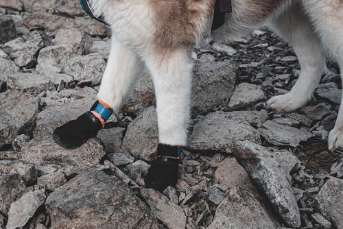 Non Stop Protector Booties ( 4 Pack) - Maat M-2