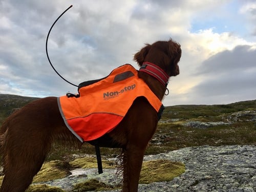 vest op hond