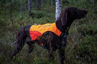 protector vest DSK