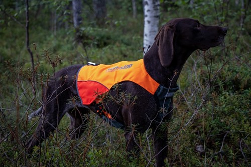protector vest DSK
