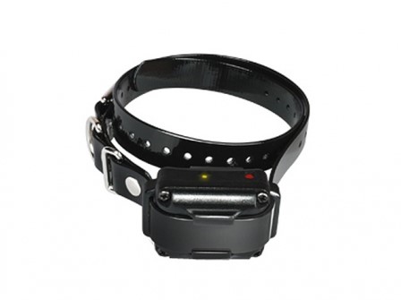 Dogtra IQ Plus-2