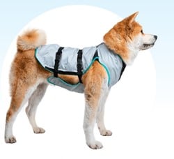 Dry Cooling Vest
