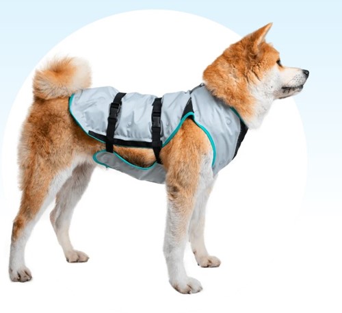 Dry Cooling Vest