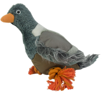 PeeWee Grey Pigeon Met flossy aan de poten