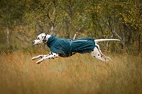 Fjord Lined Raincoat - Dark Teal-3