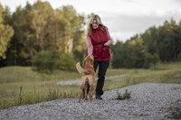 Pinewood® Dog Sports Trainer Vest W Dark Red-3