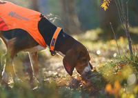 Protector collar-3