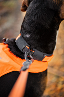 Protector collar 4