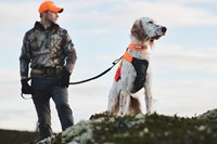 protector vest hond front